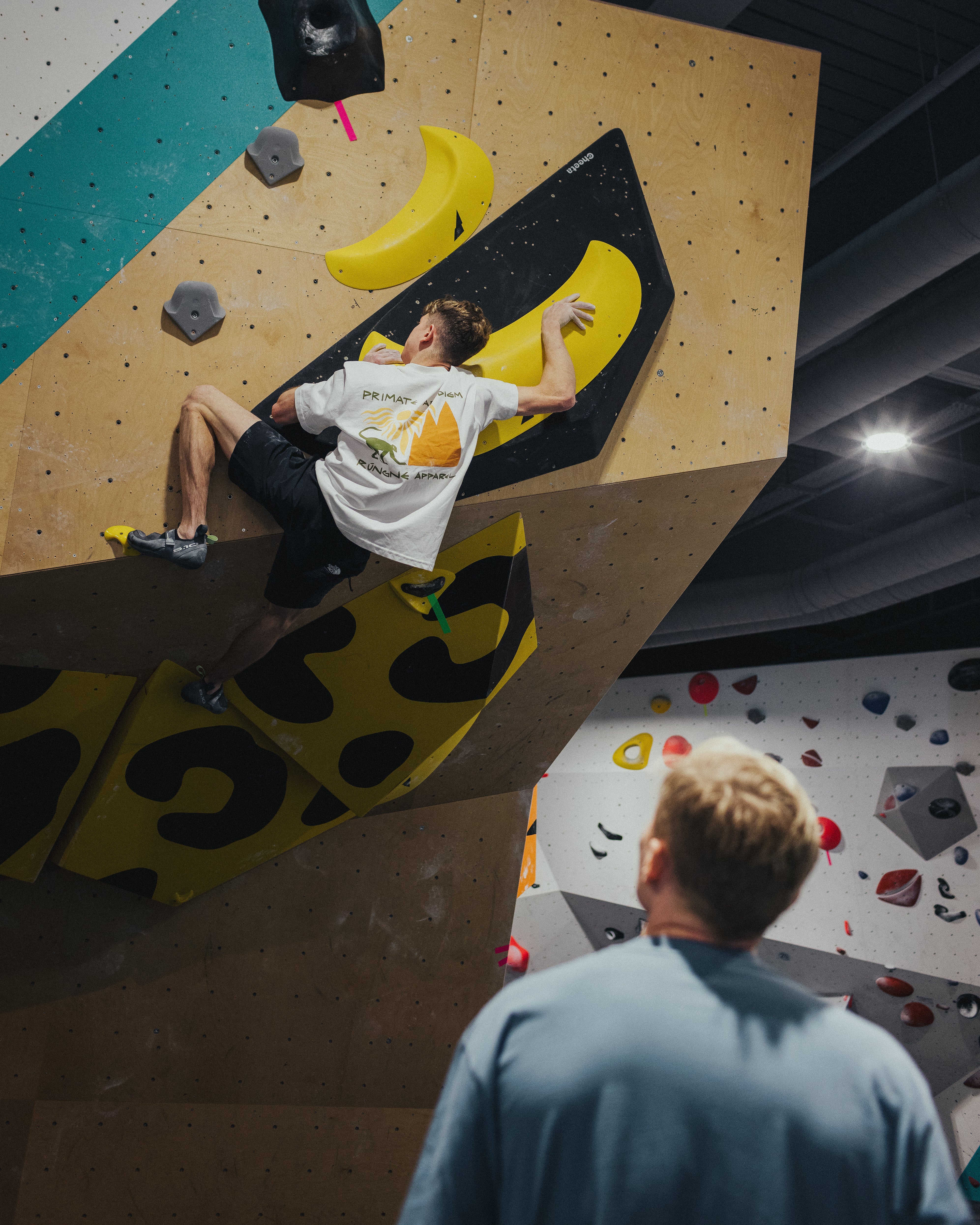 Primate Paradigm Tee